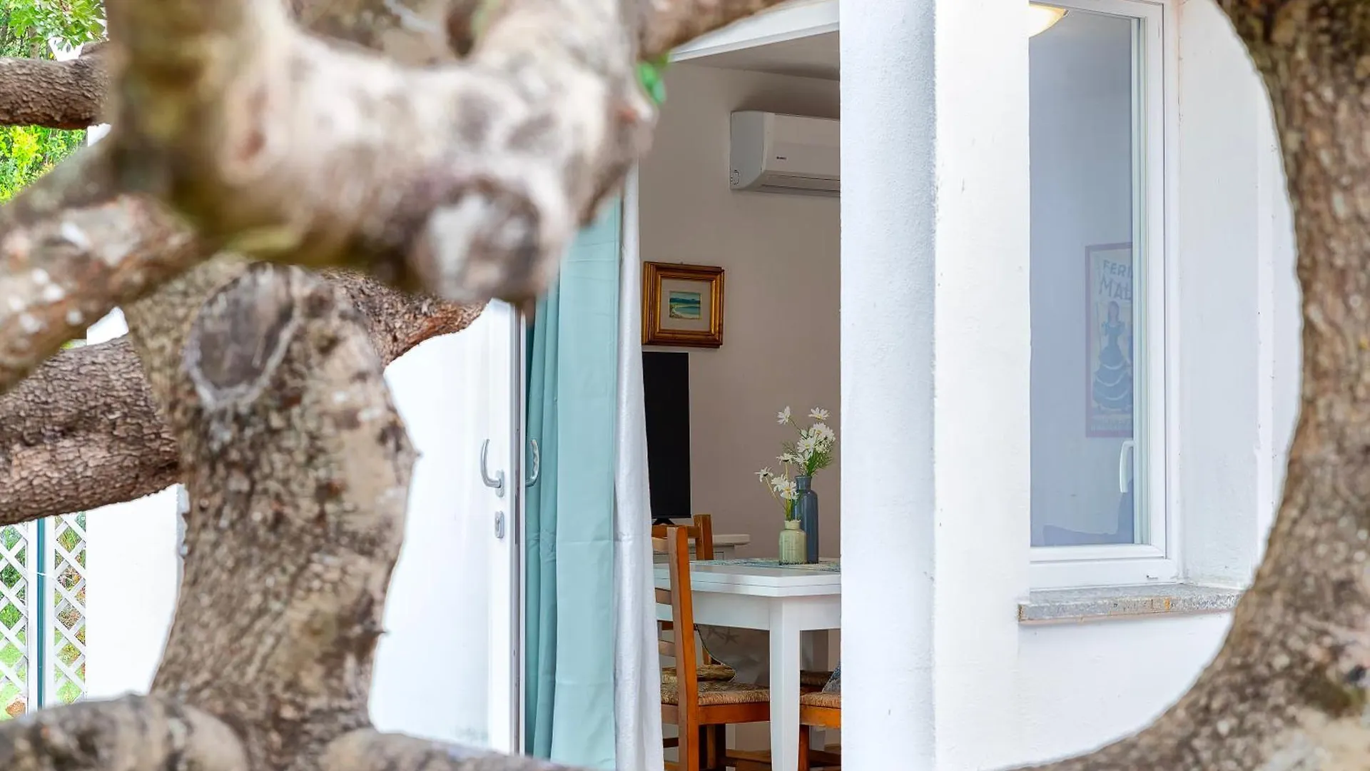 Casa Sergio Olbia Tatil Evi